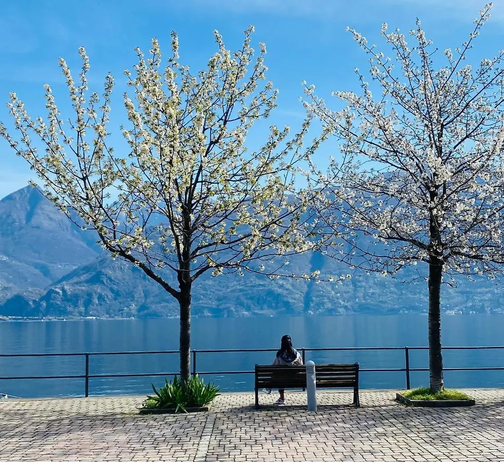 Apartment Appartamento 5 Acquaseria Italy